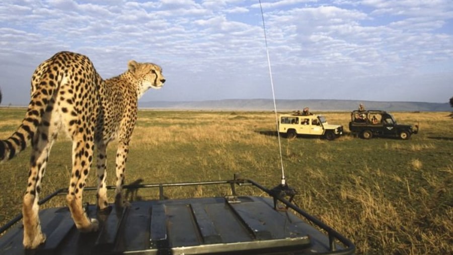 Masai Mara National Reserve