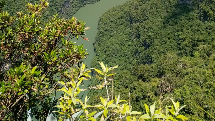 Sumidero Canyon 