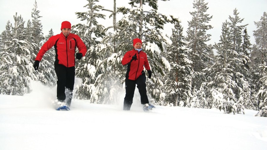 Snowshoe Trekking