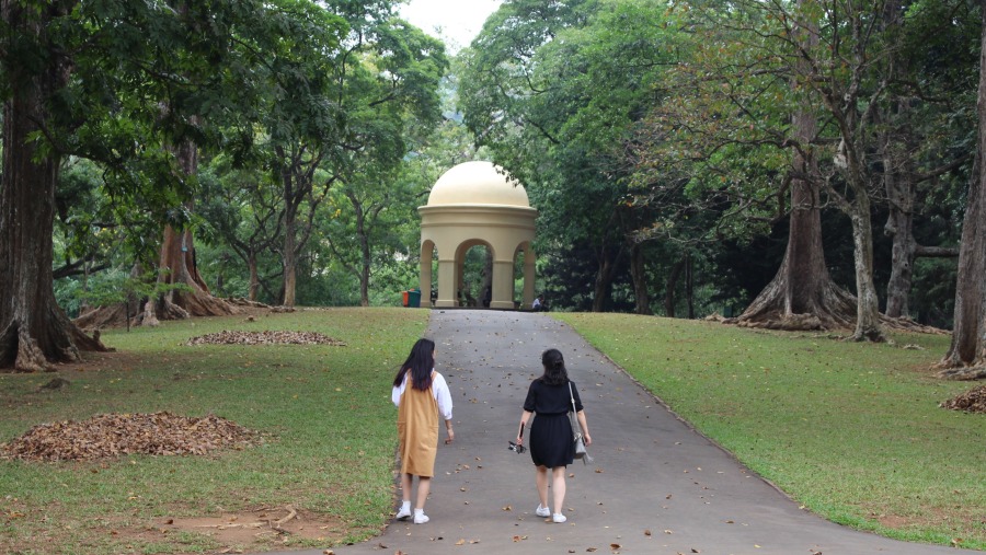 Peradeniya Botanical Garden