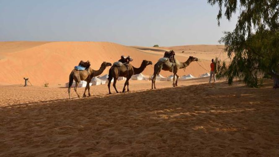 Lompoul Desert