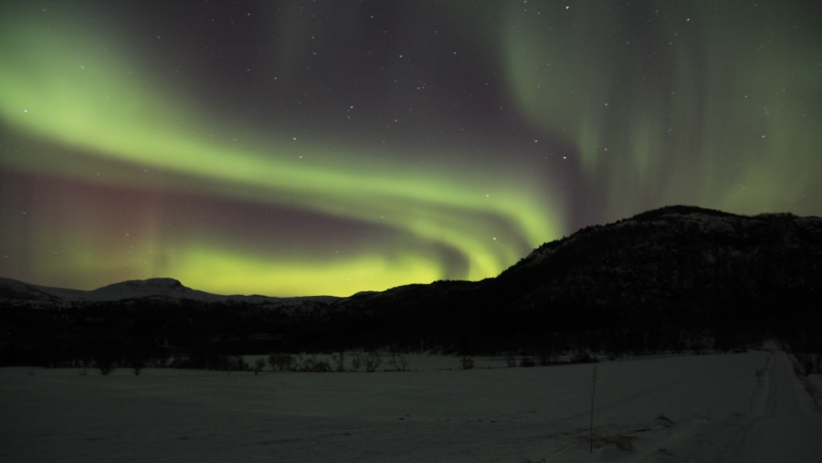 Lodingen- Northern Light Excursion