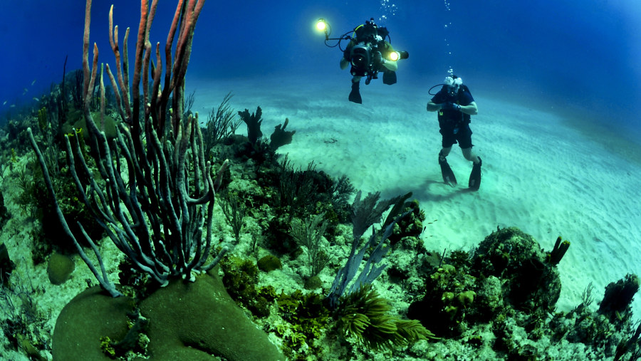 Enjoy Scuba Diving in Bermuda Diving Center in Dubai