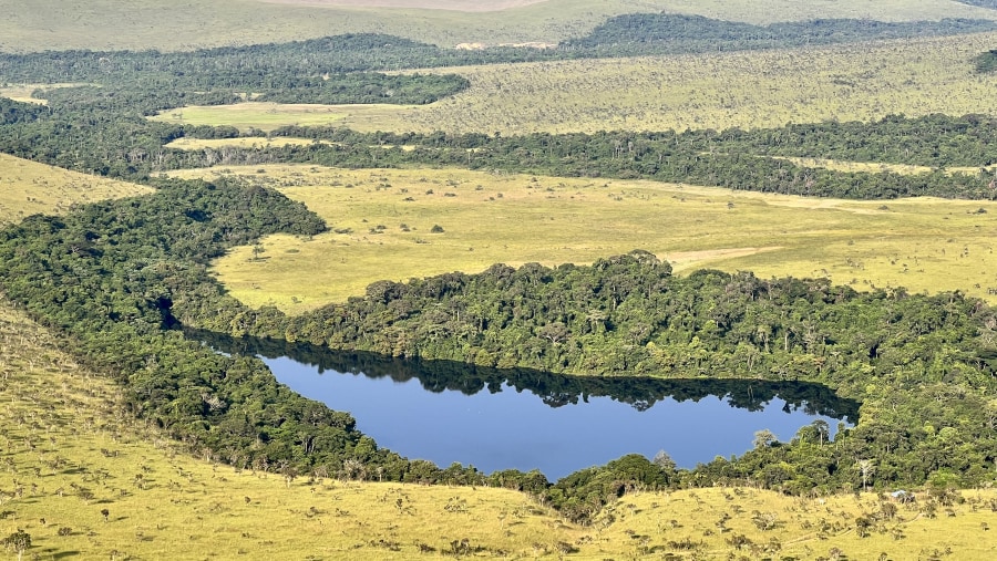 Lesio-Louna Wildlife Reserve