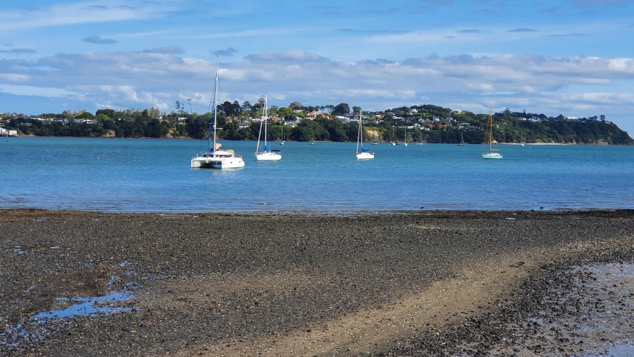 Views from Bucklands Beach