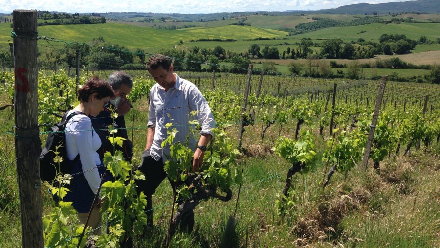 learning about wine making