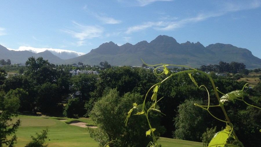 Winelands Of South Africa