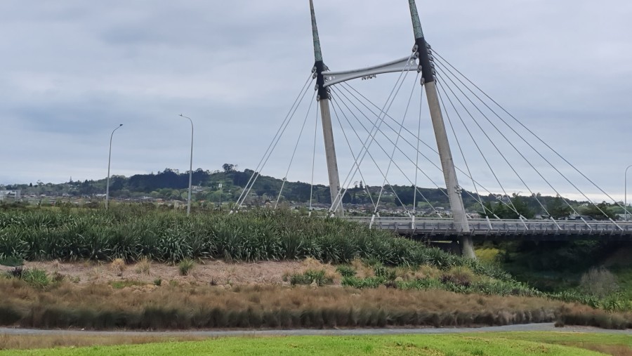 View from Barry Curtis Park