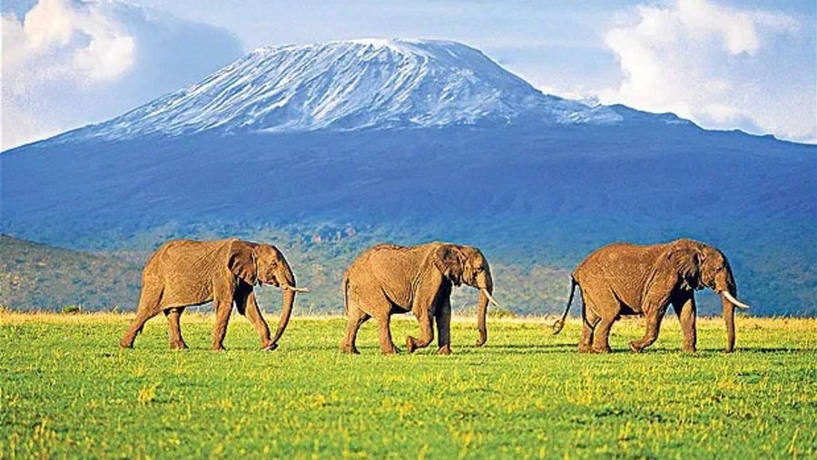 Amboseli National Park