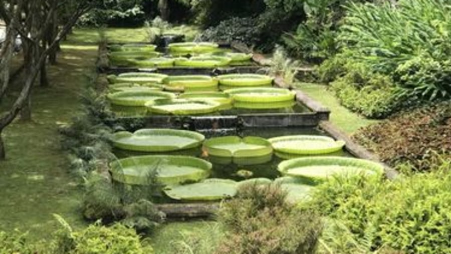 Parque Terra Nostra