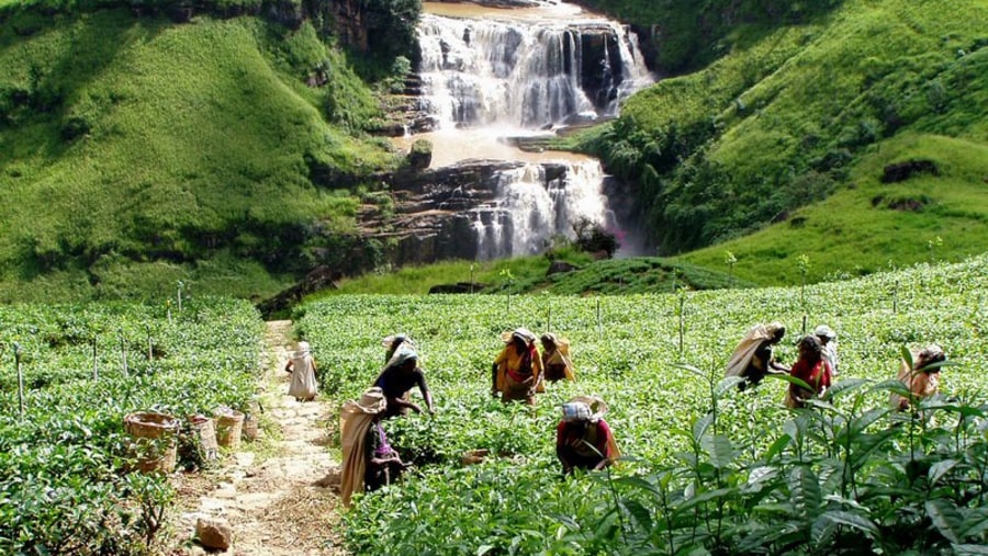 Nuwara Eliya, Sri Lanka