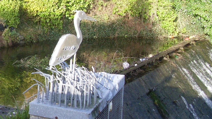 Bird Egret