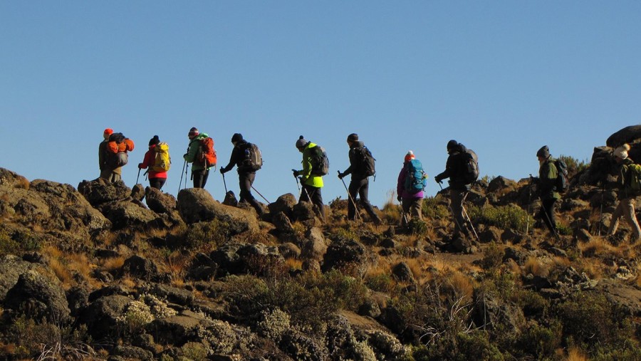 Trekking via the Marangu Route