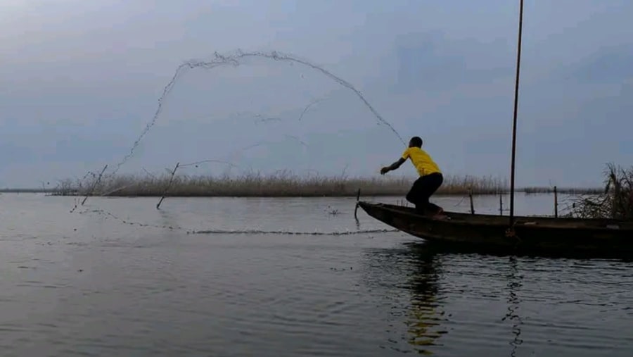 Throwing net