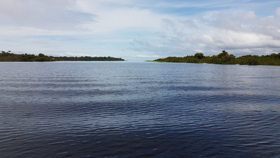 Amazon River