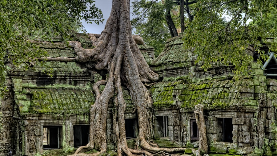 Angkor Wat