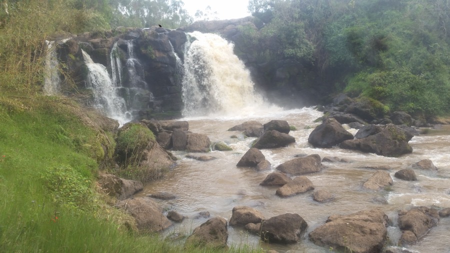 Nechisar National Park