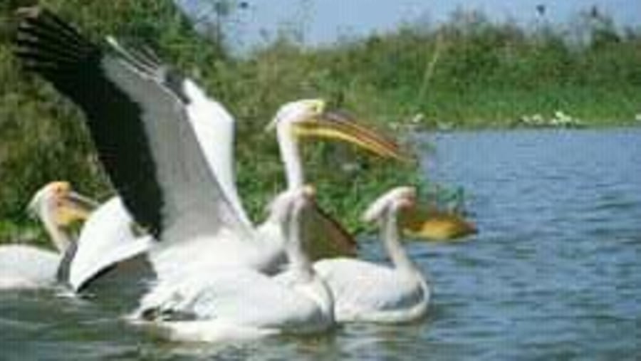 Saloum island boat ride