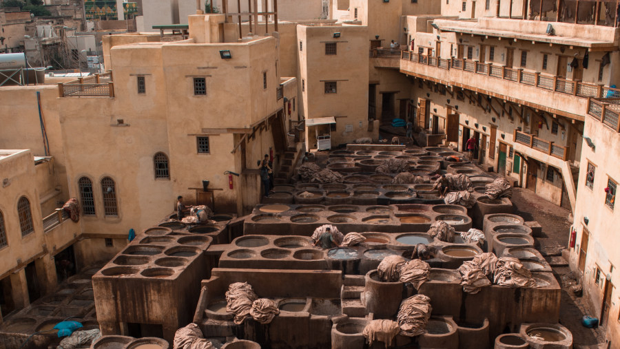 Visit the Chouara Tannery in Fez