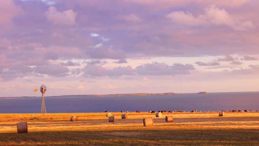 Look at the breathtaking hinterland scenery while driving to Mornington Peninsula, Australia