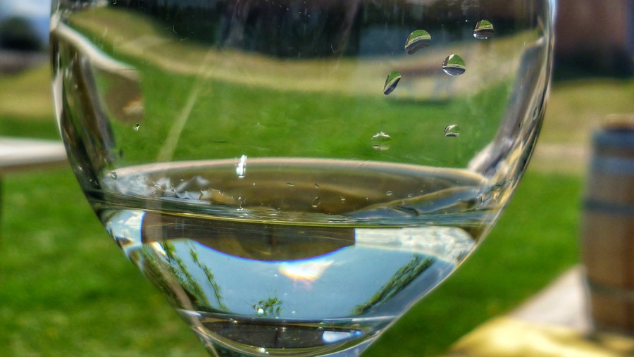 White Wine, Luján de Cuyo, Mendoza