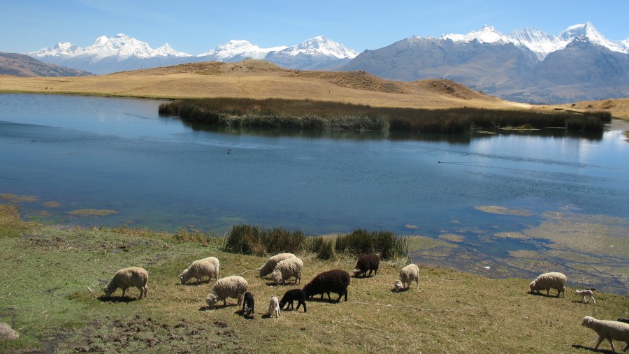 Marvel at the Wilcacocha Lake