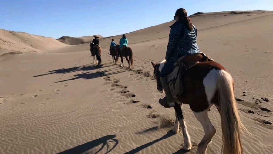 Horse Riding in the Sand Dunes