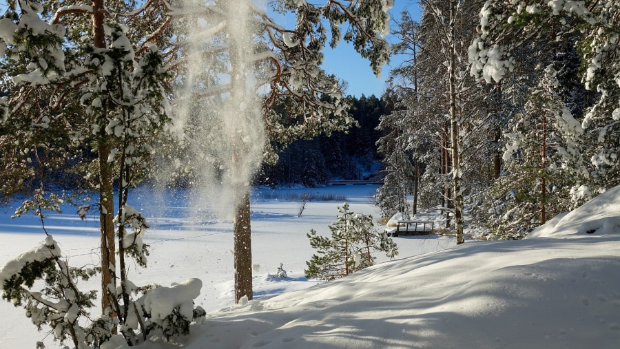 Nuuksio National Park Snowy Landscape