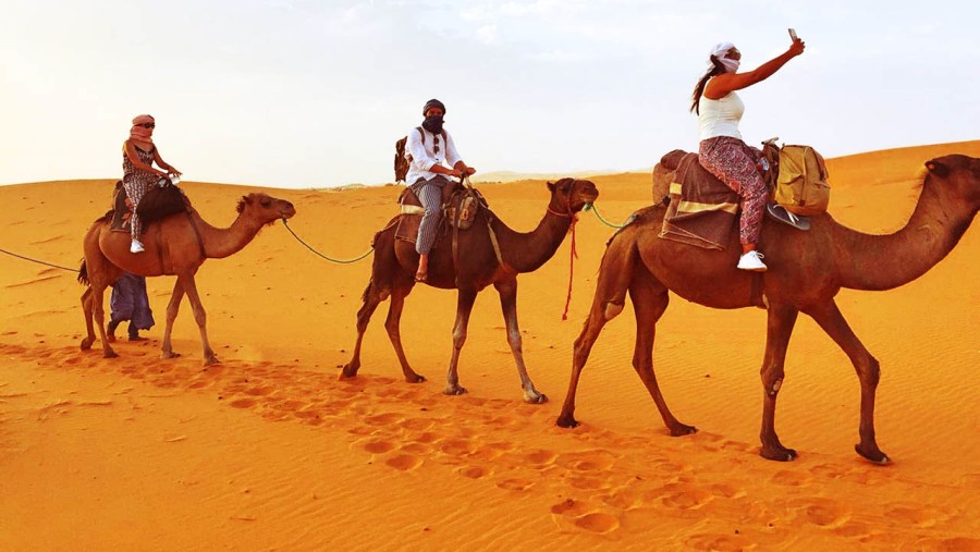 Camel Ride amidst Sahara Desert, Morocco