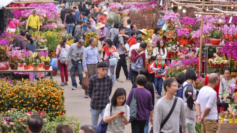 Hong Kong Flower Market