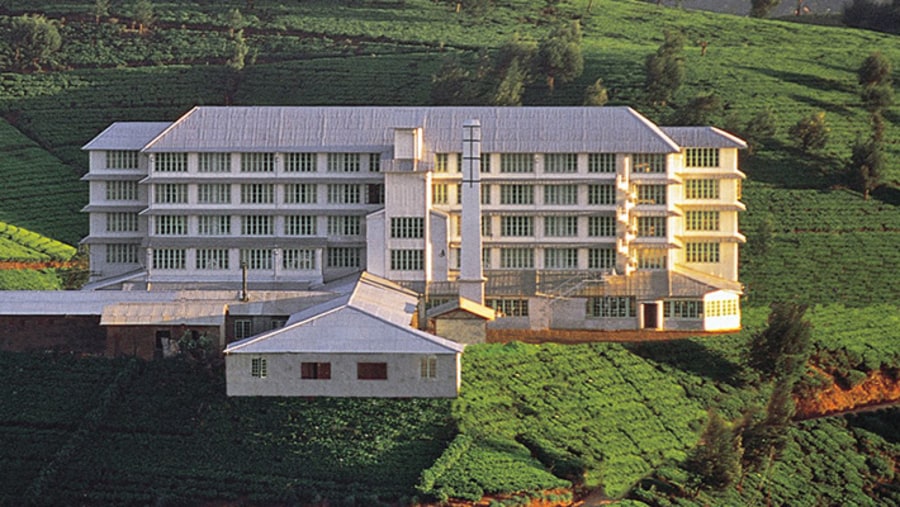 Tea factory