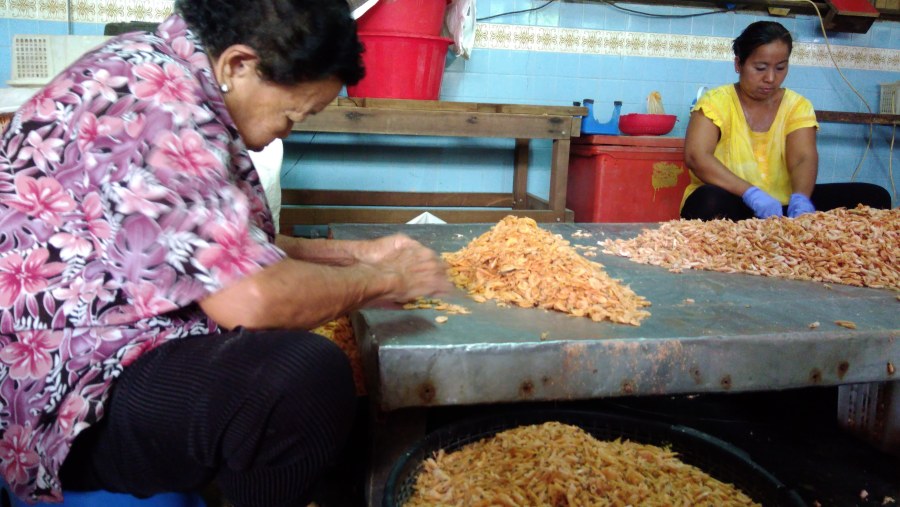 Dried shrimp small factory