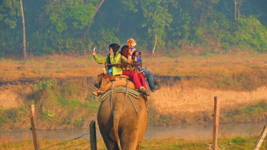 Travellers on an Indian elephant