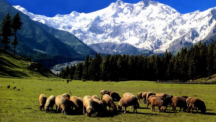 View of Nanga Parbat