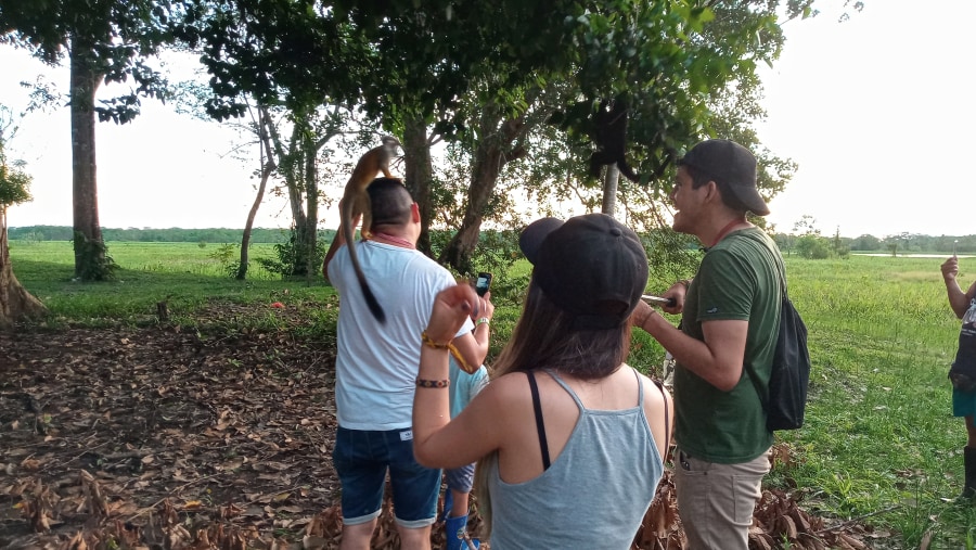 Tourists with Monkeys