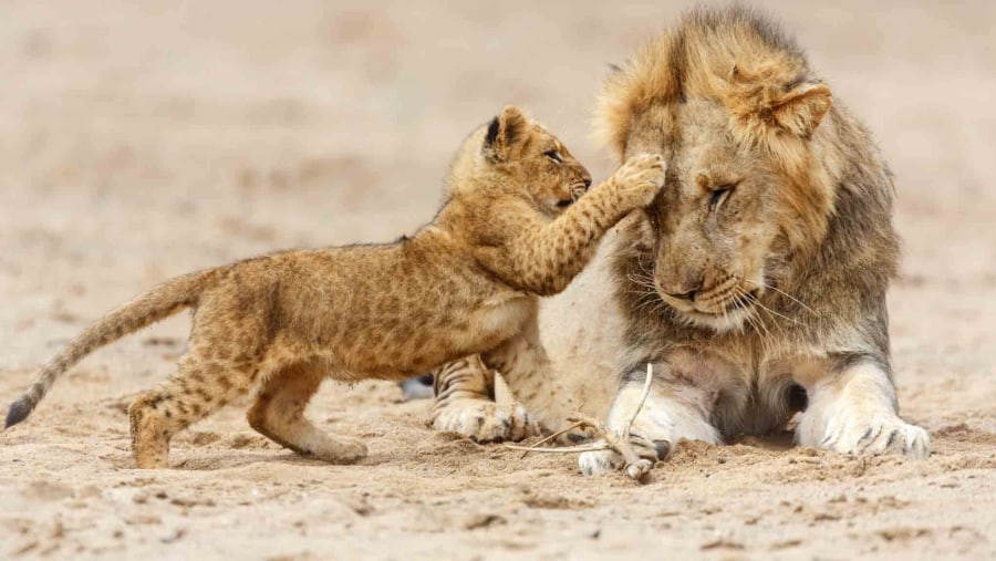 Serengeti National Park