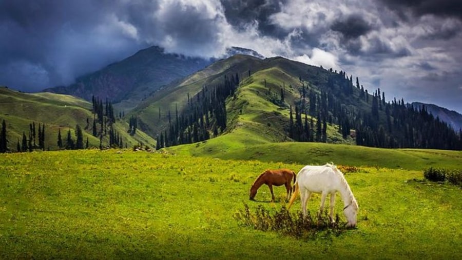Shogran hill station in Kaghan Valley
