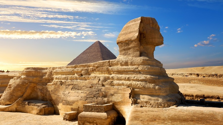 Admire the view of the Great Sphinx of Giza