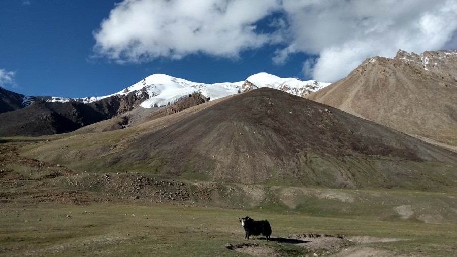 Shimshal Pass Trek