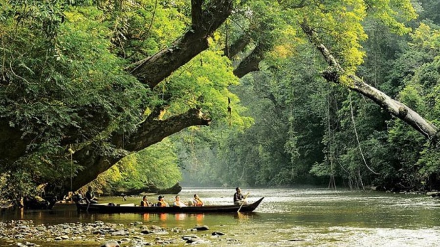 Traditional wooden boats