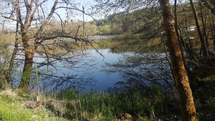 Serene Lake