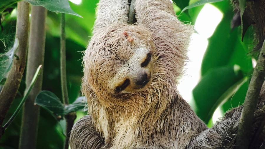 Manuel Antonio National Park