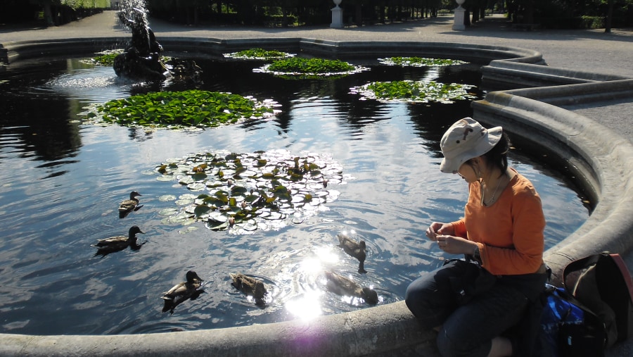 Feeding ducks at Fountain in Schonbrunn