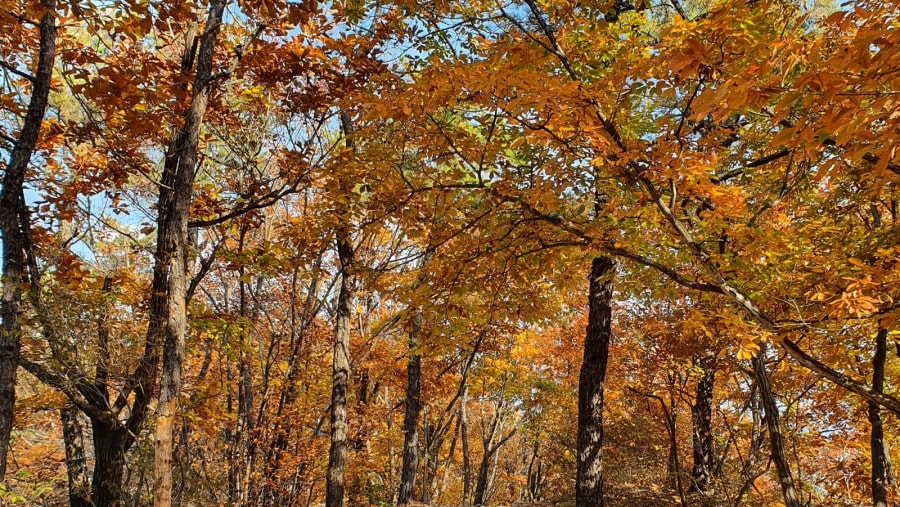 Bukhasan National Park