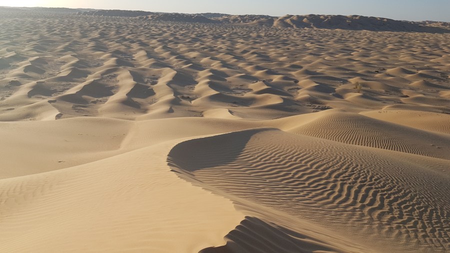 Rub' al Khali In Oman