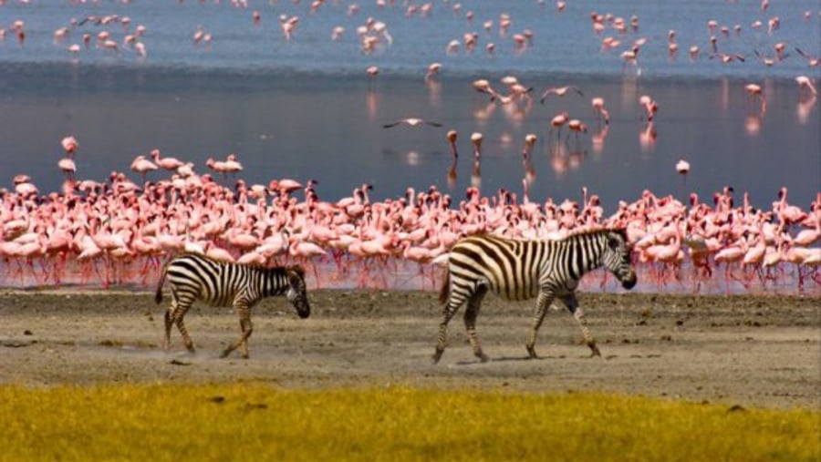 Lake Manyara National Park