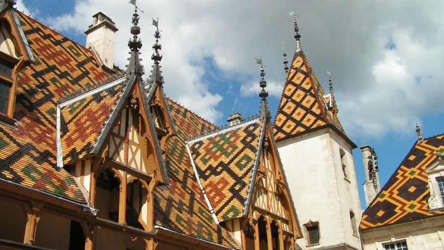 Roofs of the Hôtel Dieu