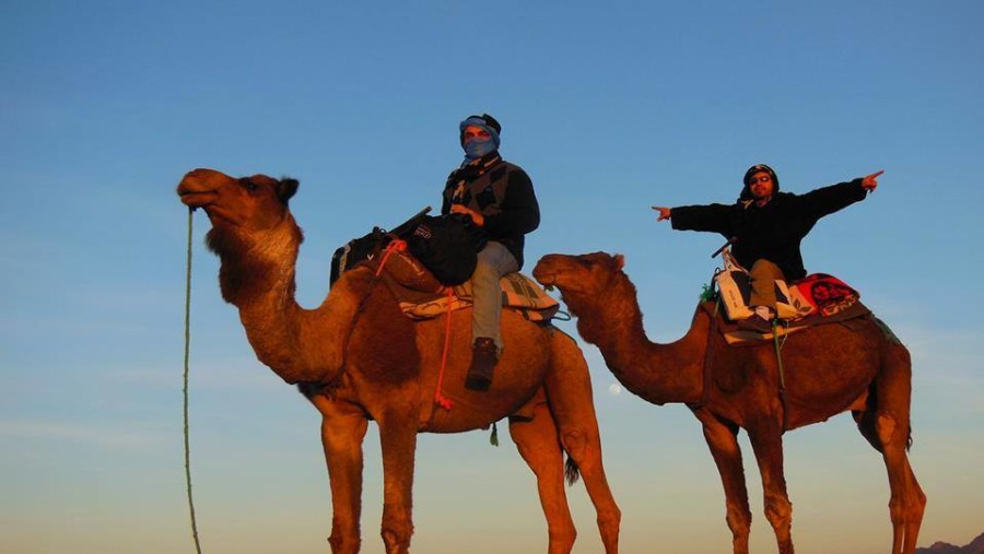 Camel rides in the Sahara Desert