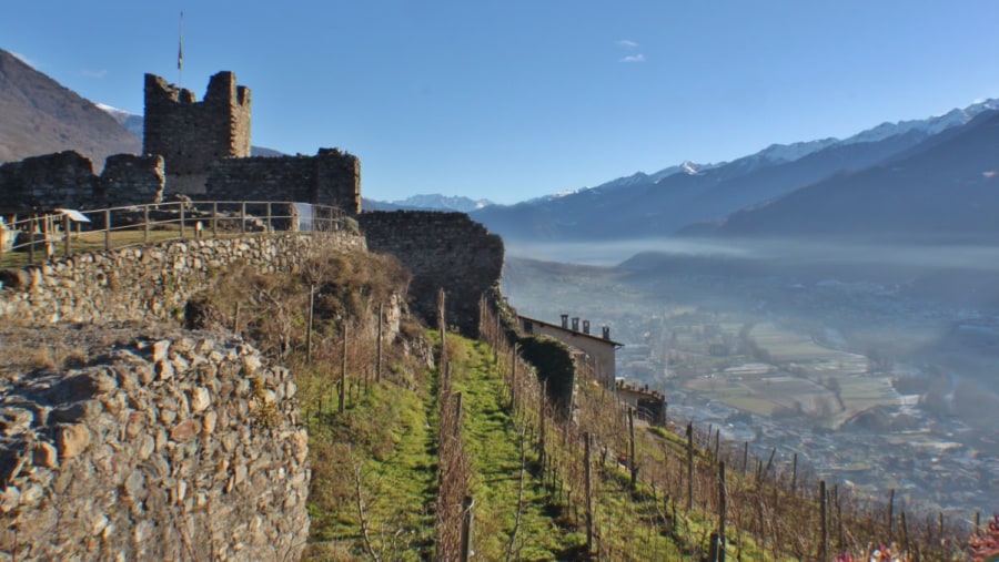 Grumello Castle and Vineyard