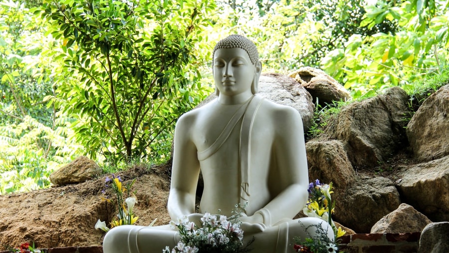 Witness the Buddha statue